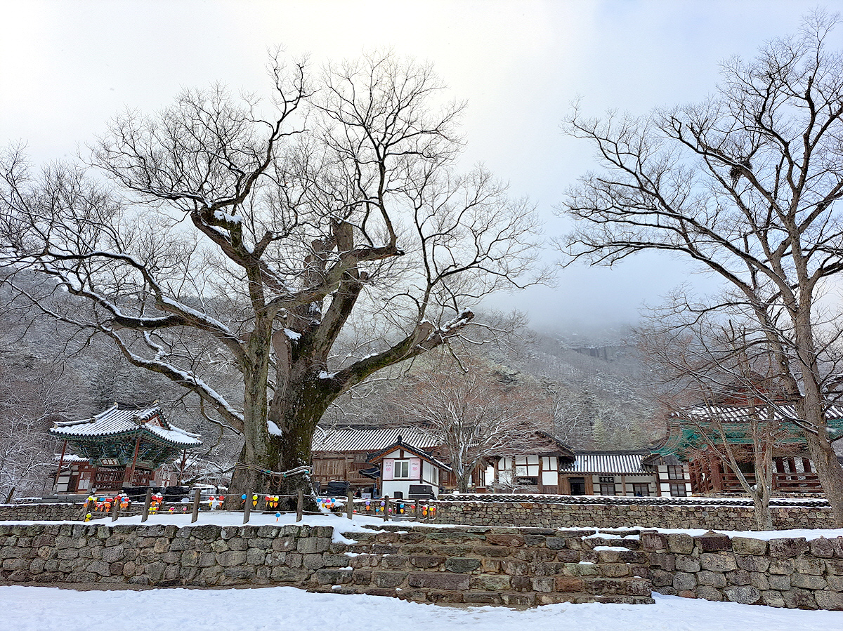 9cc3e5f0041bf6637c78ba9a36f1c3b3_1715039077_01.jpg 9cc3e5f0041bf6637c78ba9a36f1c3b3_1715039077_01.jpg