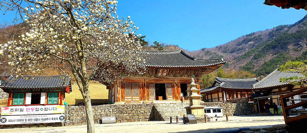 9cc3e5f0041bf6637c78ba9a36f1c3b3_1715039079_99.jpg 9cc3e5f0041bf6637c78ba9a36f1c3b3_1715039079_99.jpg