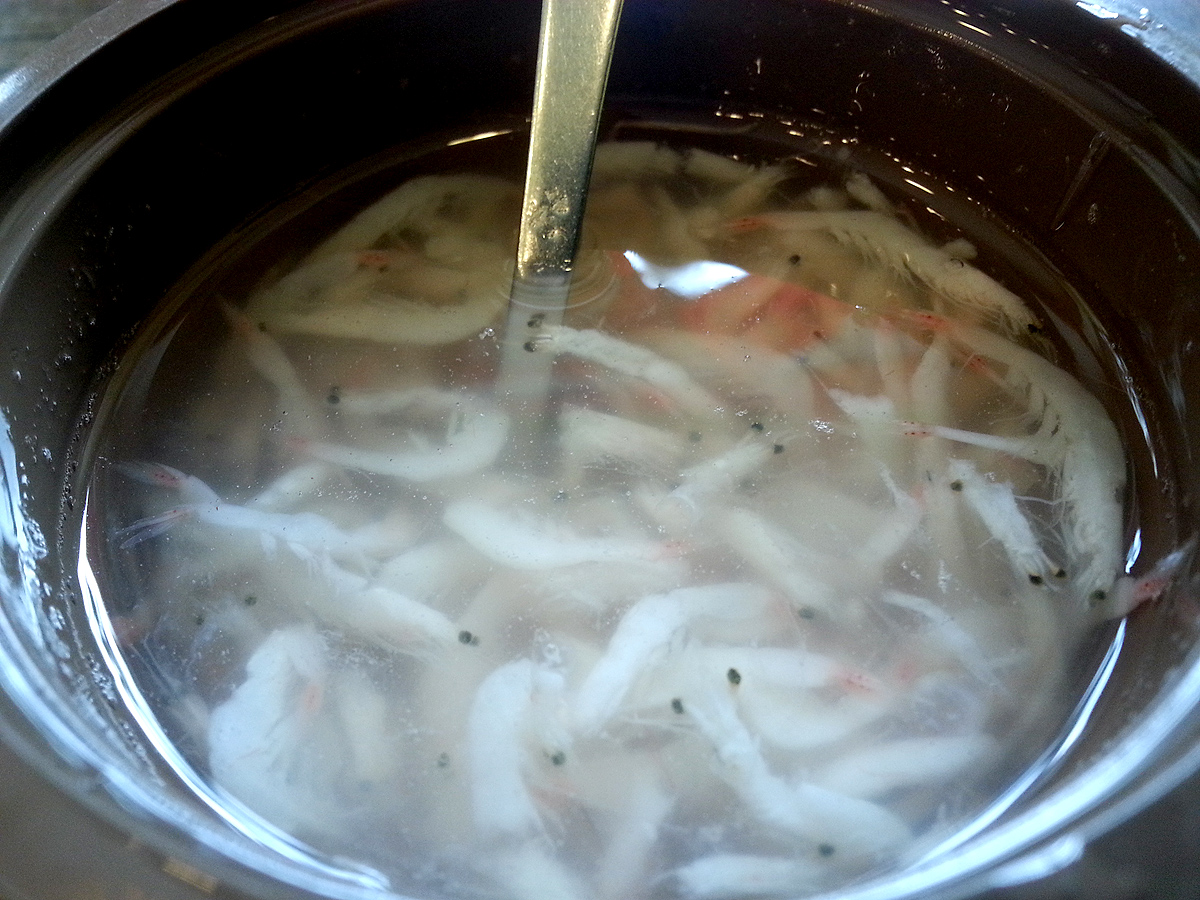 c08220e778c0bf1a99e6b02dc90b1a73_1639047267_91.jpg c08220e778c0bf1a99e6b02dc90b1a73_1639047267_91.jpg