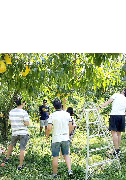 농작물경작체험